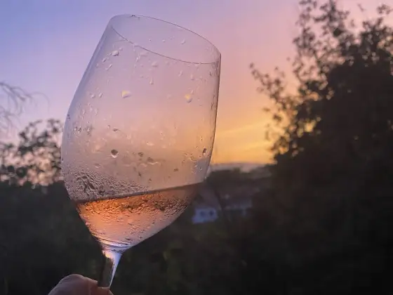 Vinificazione rosato - Dal colore alle tecniche: la guida completa