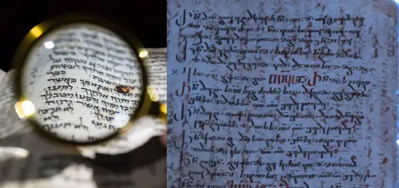 Czy apostołowie byli żonaci? Fakty biblijne i historyczne