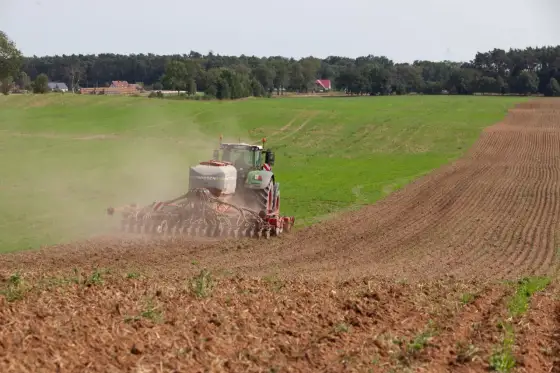 Nawożenie fosforem - jak nie marnować pieniędzy w polu?