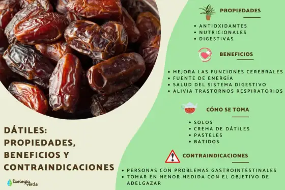 ¿Cuántos dátiles al día? Guía para tu objetivo