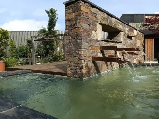 Bassin végétalisé - Le guide complet pour un équilibre durable