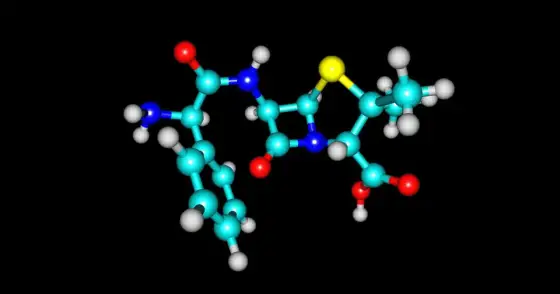 Ampicylina - Antybiotyk na bakterie? Co musisz wiedzieć!