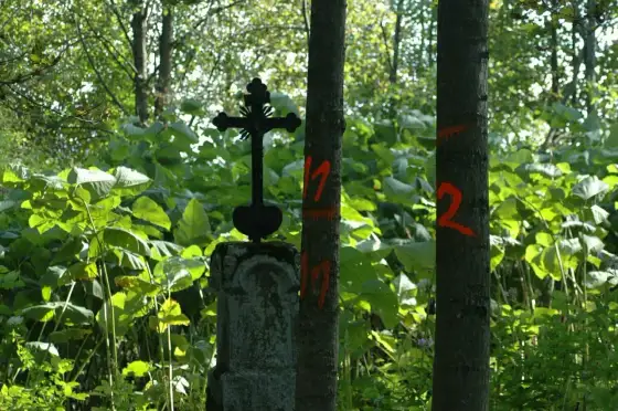 Lipie podkarpackie - Bieszczady bez zgiełku. Odkryj ciszę!