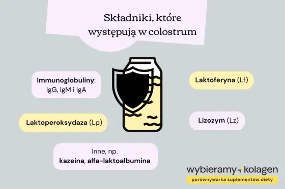 Immunoglobuliny w suplementach - co naprawdę działa?