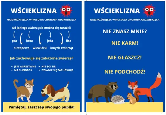 Wścieklizna u psa - Jak nie przeoczyć objawów i jak reagować?