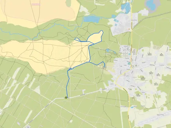 Pustynia Błędowska - Jaką trasę wybrać? Poznaj najlepsze szlaki