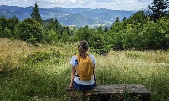 Szlaki w Piwnicznej-Zdroju - które trasy naprawdę mają sens