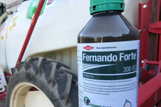 Fernando Forte 300 EC - Skuteczny herbicyd na łąki?
