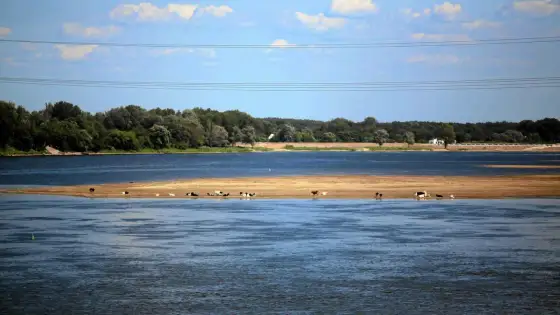 Dopływy Wisły: lewy i prawy brzeg - planuj wycieczki!