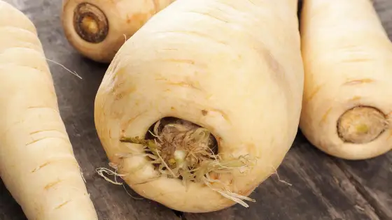 Pastinaken pflanzen - So gelingt die perfekte Ernte!