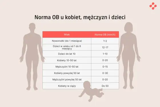 Morfologia krwi - Jak czytać wynik i co oznacza dla zdrowia?