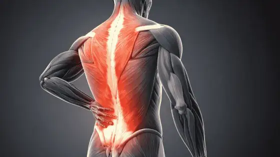 Douleur dos droit - Causes, signes d'alerte et solutions