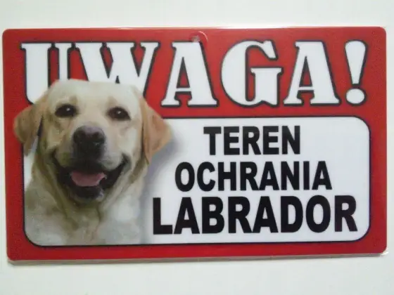 Wykastrowany pies znaczy teren? Prawda o znakowaniu