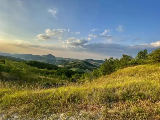 Colline di Parma - Guida completa a sentieri e borghi