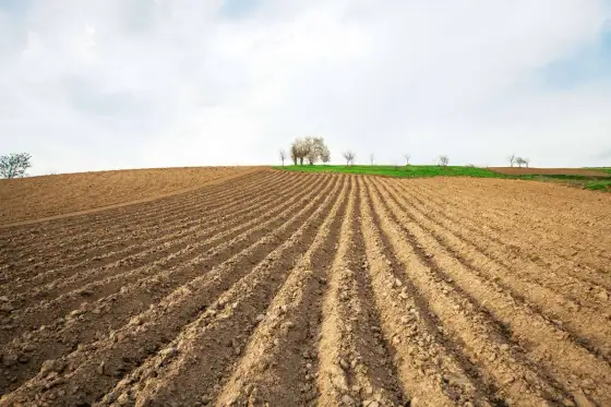 Orka ugoru - Jak przywrócić pole do uprawy bez błędów?