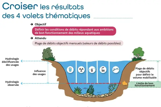 Les loches d'eau douce - Indicateurs clés de la santé des milieux