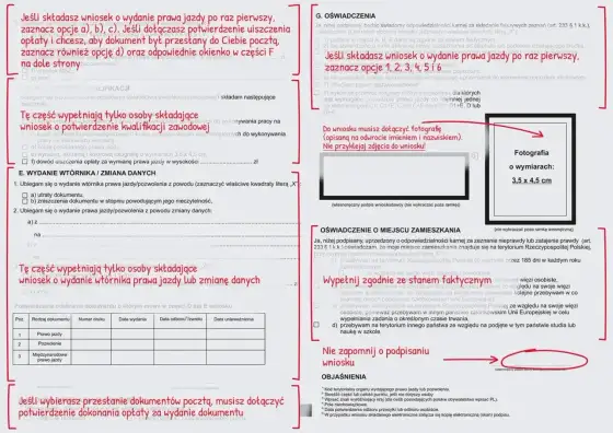 Prawo jazdy po egzaminie - Co dalej? Opłaty, odbiór, status