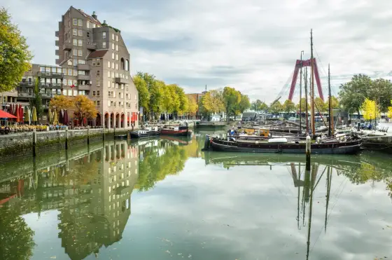 Gdzie leży Rotterdam? Mapa, dojazd i zwiedzanie – przewodnik