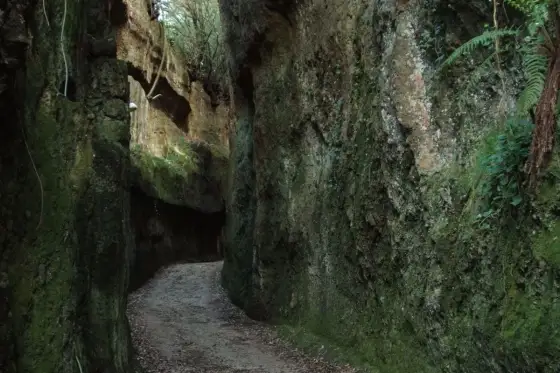 Forre di Corchiano - Guida Completa per un'Escursione Perfetta