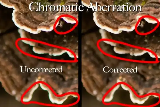 Aberracja chromatyczna - jak ją rozpoznać i skutecznie ograniczyć