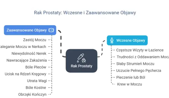 Rak prostaty: objawy, czynniki ryzyka i diagnostyka. Jak rozpoznać?