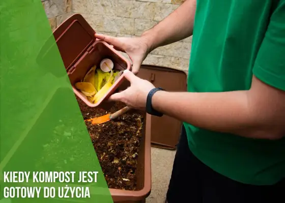 Kiedy kompost jest gotowy? Oto oznaki, które musisz znać