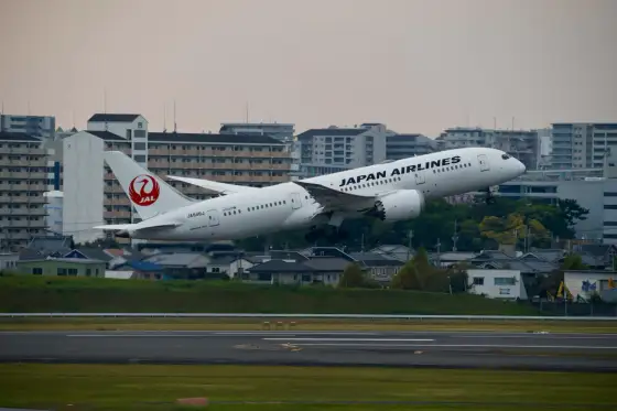 Japan Airlines - bagaż, klasy i przesiadki na lot do Japonii