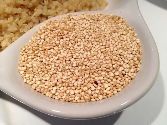 Quinoa - ¿Realmente es tan sana? Beneficios y cómo cocinarla