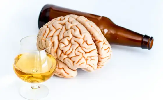 Alkohol a mózg - Jakie zmiany powoduje i czy są one odwracalne?