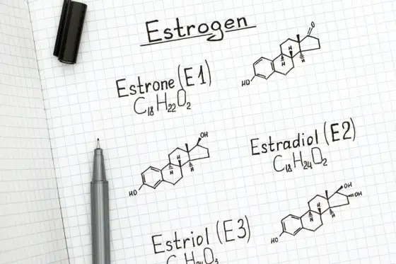 Estrogeny - rola, objawy niedoboru/nadmiaru i jak dbać?