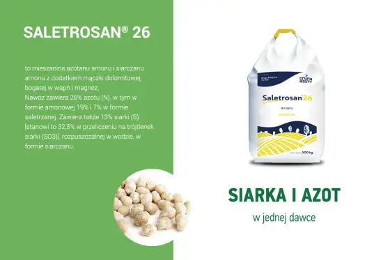 Saletrosan w praktyce - kiedy wybrać wersję 26, a kiedy 30?