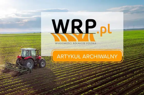 Kreda rolnicza - kiedy warto nią wapnować glebę?