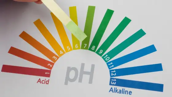 Quel est le pH idéal de l’eau minérale ?