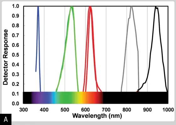 LED Light Color Meaning - Decode Any Device's Signal