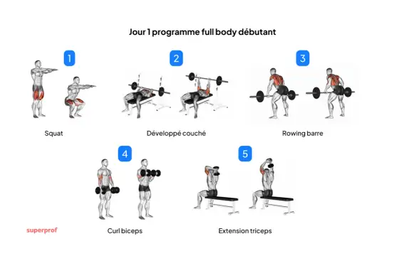 Musculation Full Body - Le guide complet pour progresser