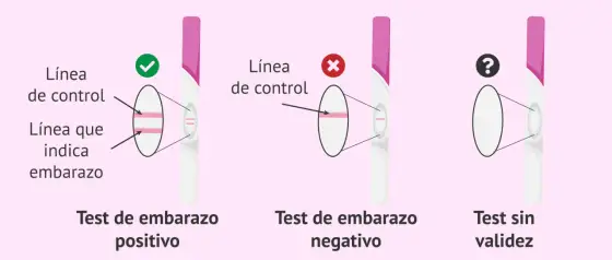 ¿Regla o embarazo? Cómo distinguir las señales y cuándo hacer un test