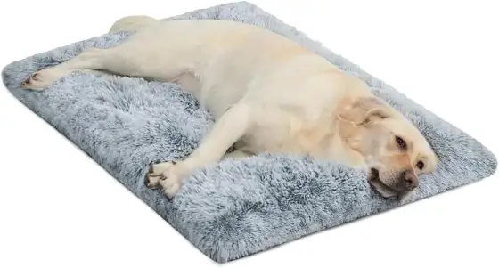 Tapis pour cage chien - bien choisir la taille et la matière