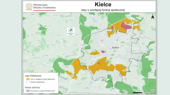 Kielce - W jakim województwie leżą? Planuj wyjazd!