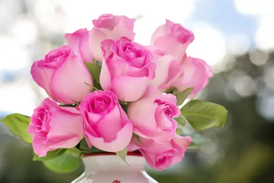 Que signifie un bouquet de trois roses ?