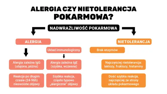 Alergia pokarmowa - Objawy, dieta i plan awaryjny