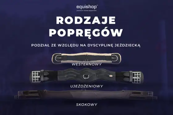 Popręg dla konia - Jak dobrać właściwy model i uniknąć otarć?