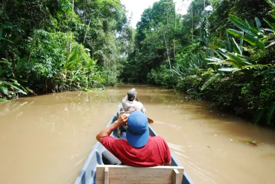 Amazonia - Przewodnik po ekosystemie i podróżach