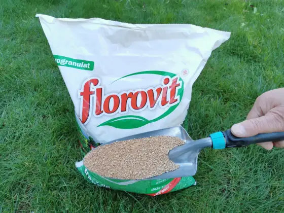 Najlepszy nawóz przed siewem warzyw, który poprawi plony i glebę