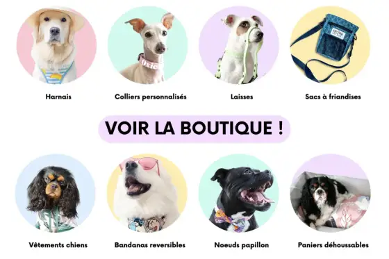 Bandana rouge pour chien - bien le choisir pour chaque sortie