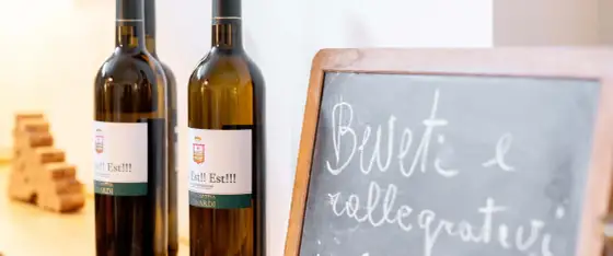 Vino Montefiascone - Guida completa per conoscerlo e abbinarlo