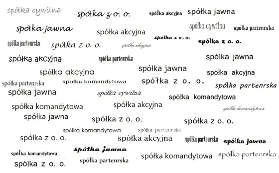 Spółki w Polsce - Jak wybrać formę prawną dla Twojej firmy?
