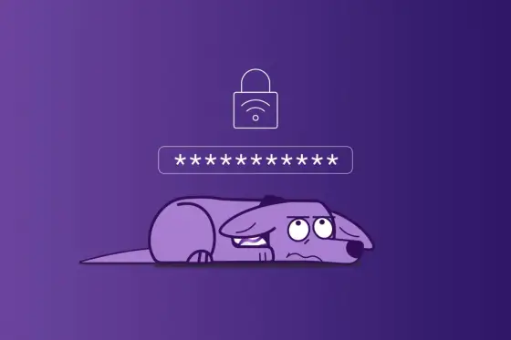 Klucz zabezpieczeń sieciowych - Gdzie znaleźć i jak ustawić Wi-Fi?