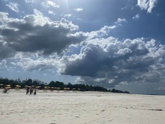 Zanzibar: Ile kosztuje dom marzeń? Koszty budowy i pułapki
