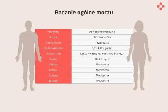 Ketony w moczu - kiedy wynik jest normą, a kiedy alarmem?