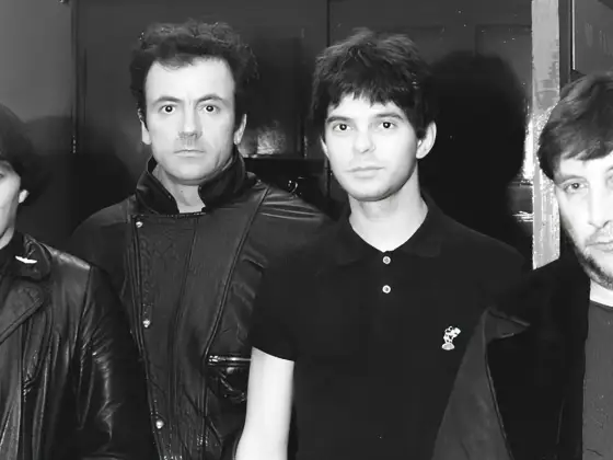 Golden Brown - Prawdziwe znaczenie tekstu The Stranglers